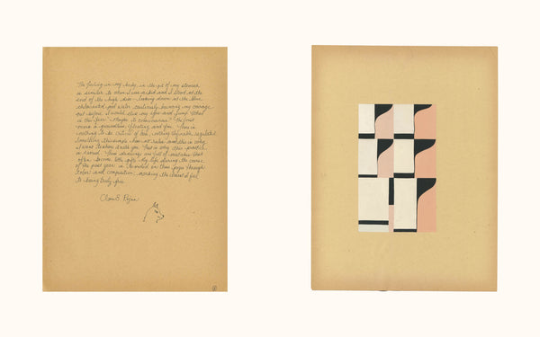 Clare E. Rojas: Egret - Book at Kavi Gupta Editions