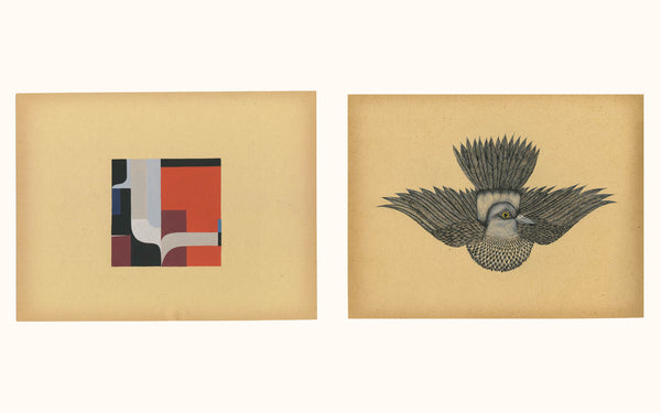 Clare E. Rojas: Egret - Book at Kavi Gupta Editions