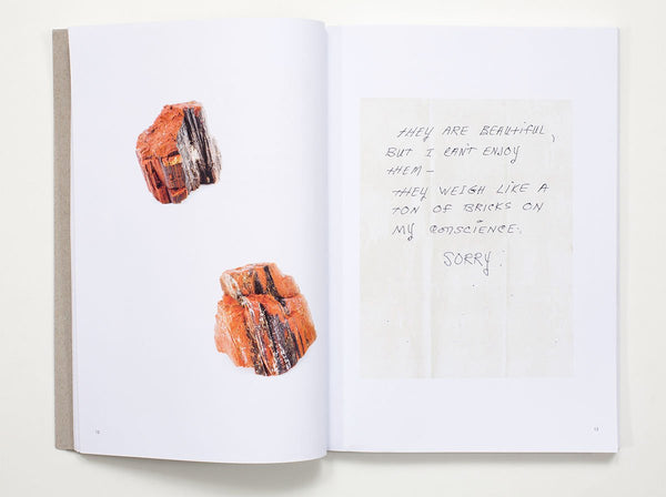 Bad Luck, Hot Rocks: Conscience Letters and Photographs from the Petrified Forest - Book at Kavi Gupta Editions