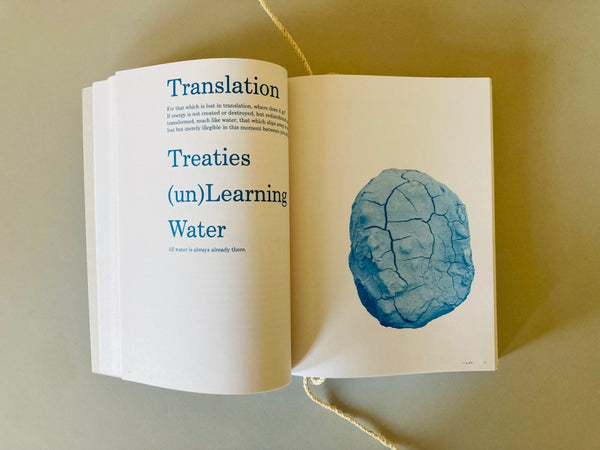Water, Kinship, Belief: Toronto Biennial of Art 2019–2022