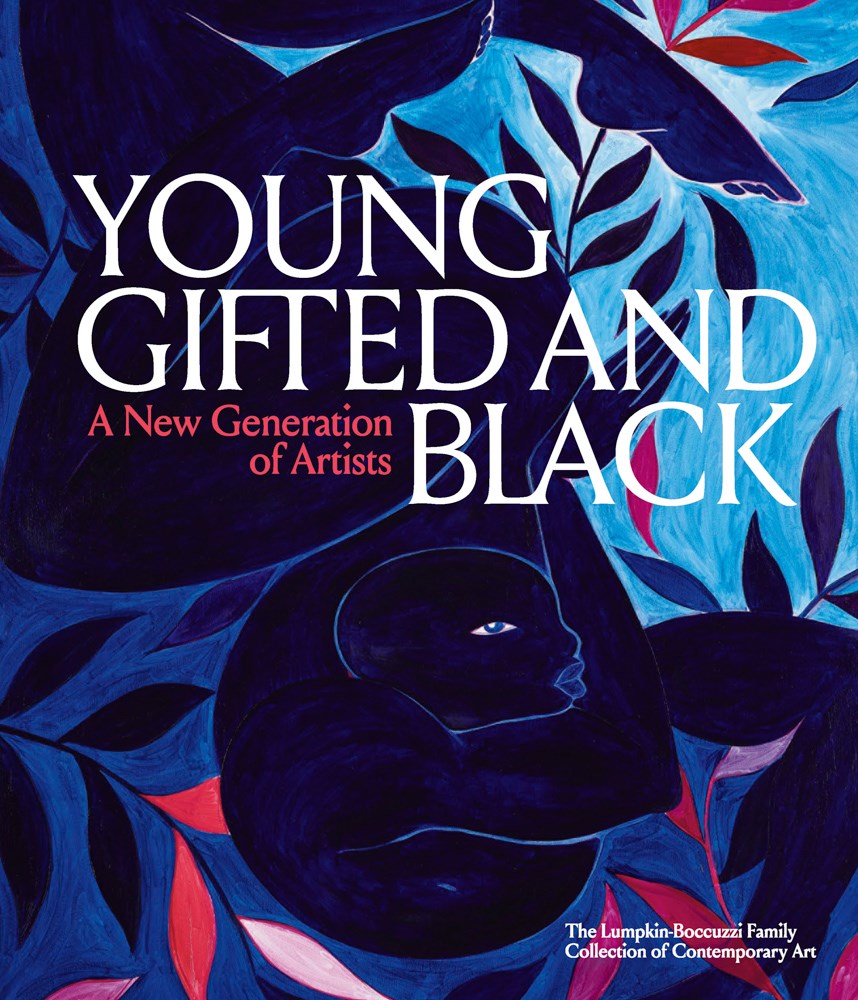 Young, Gifted and Black: A New Generation of Artists: The Lumpkin-Boccuzzi Family Collection of Contemporary Art