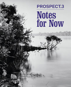 Prospect.3: Notes for Now - Book at Kavi Gupta Editions